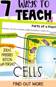 7 ways to teach plant and animal cells activities
