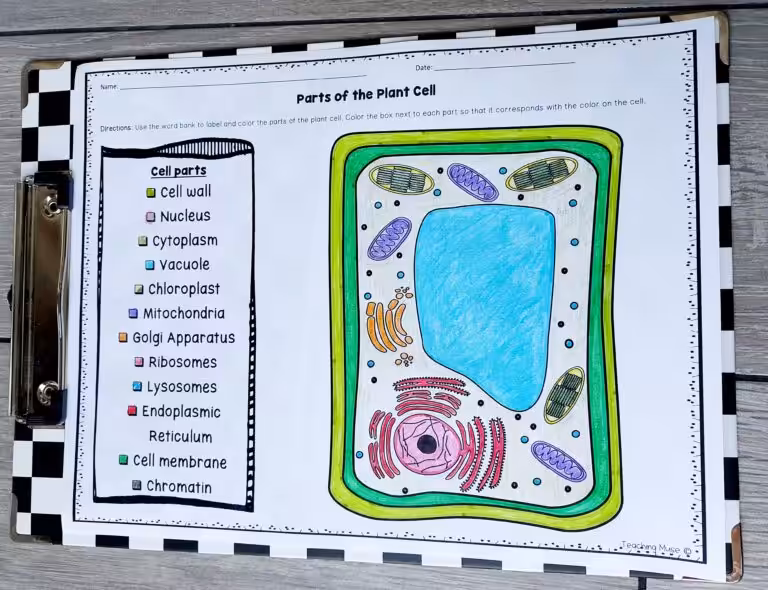 labeling plant cells