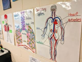 Using anchor charts in science class to embed reading and writing skills to increase literacy comprehension 